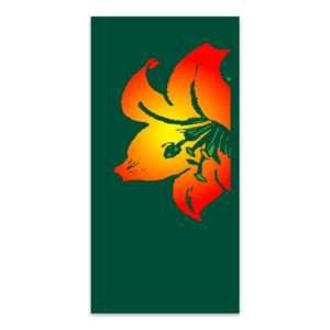Single Vibrant Flower