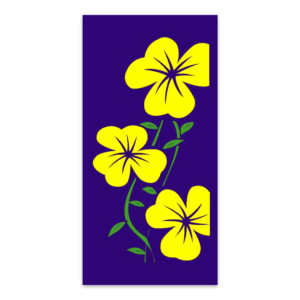 Large Violets