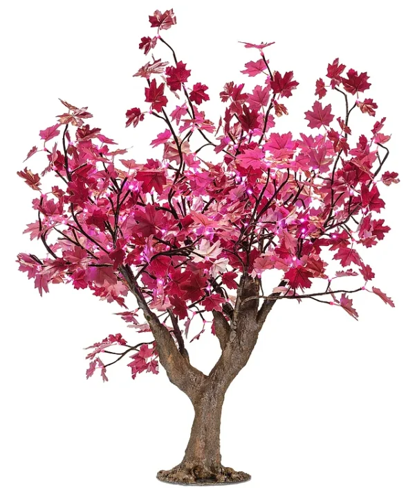 Pink Maple - Image 3