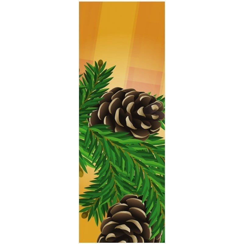 Two Pine Cones