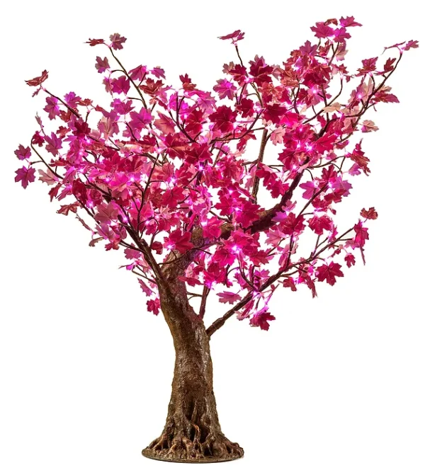 Pink Maple - Image 4