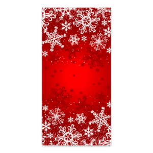 Snowflake Universe