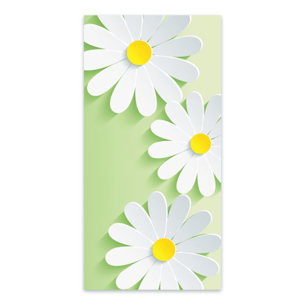 White Daisies