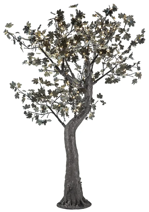 Black Maple - Image 5