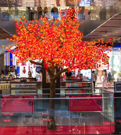 Red Maple - Image 10