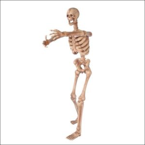 Skeleton 90" L x 30" W x 150" H "ARMS OUT"