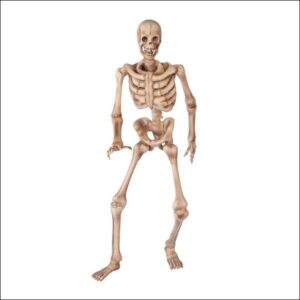 Skeleton 90" L x 30" W x 150" H "RUNNING"