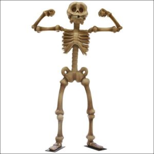 Skeleton - Flex
