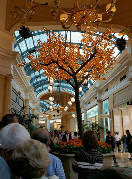 Autumn Yellow Maple - Image 12