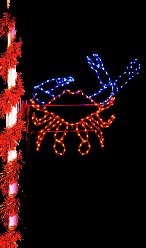 Crab - Animated
