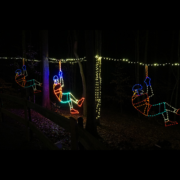 Zip Liner (3x) - (animated)