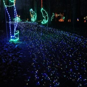 River of Lights