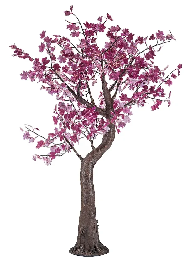 Pink Maple - Image 5