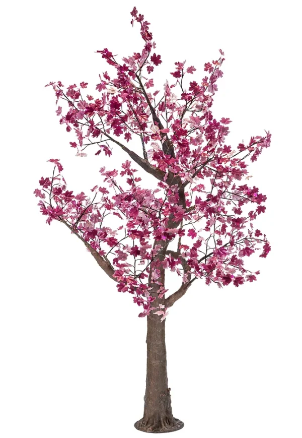 Pink Maple - Image 6
