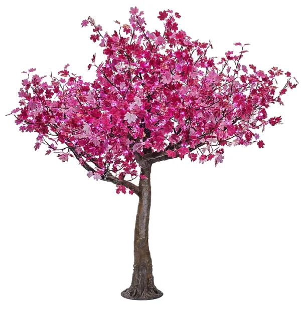 Pink Maple - Image 2