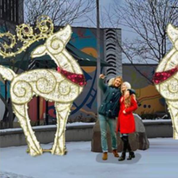 3D Illuminated - Deer