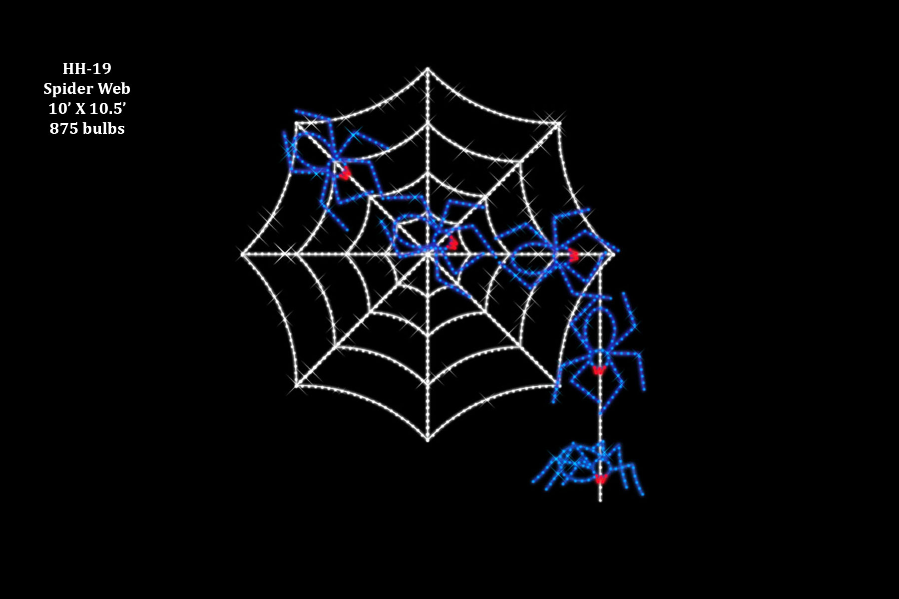 SPIDER WEB (animated)