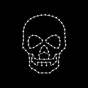 SKELTON HEAD