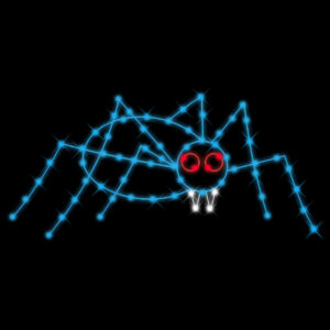 SMALL SPIDER