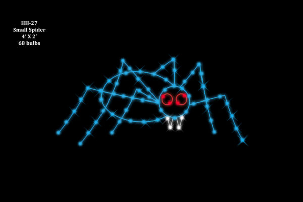 SMALL SPIDER