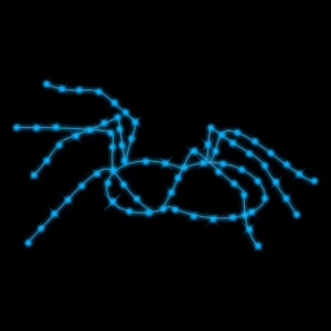SMALL SPIDER