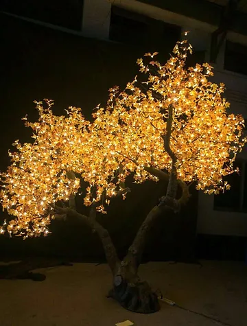 Autumn Yellow Maple - Image 10