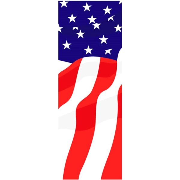 Bless The USA