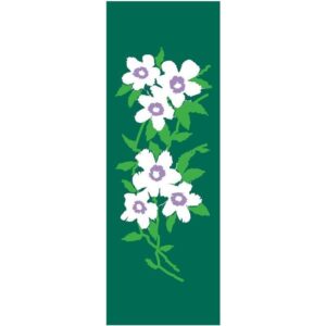 White Floral