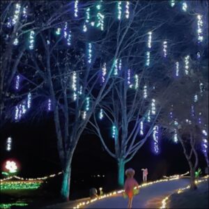 METEOR SHOWER LIGHTS, 2' LIT DROP LENGTH (48 lights)