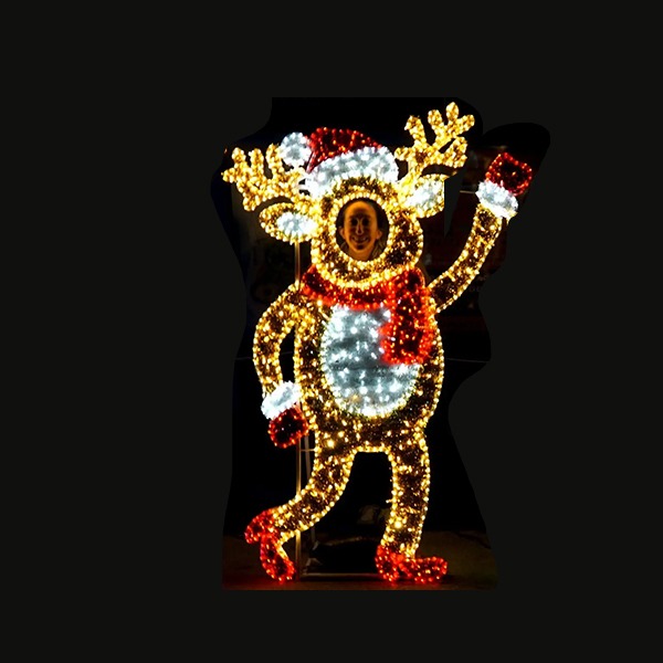 Mama Deer Family Photo Op