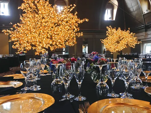 Autumn Yellow Maple - Image 9