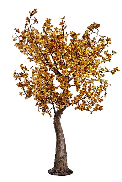 Autumn Yellow Maple - Image 6