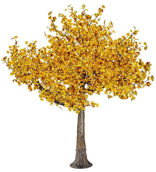 Autumn Yellow Maple - Image 3