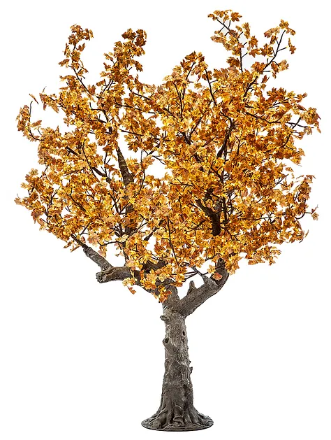 Autumn Yellow Maple - Image 7