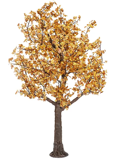 Autumn Yellow Maple - Image 8