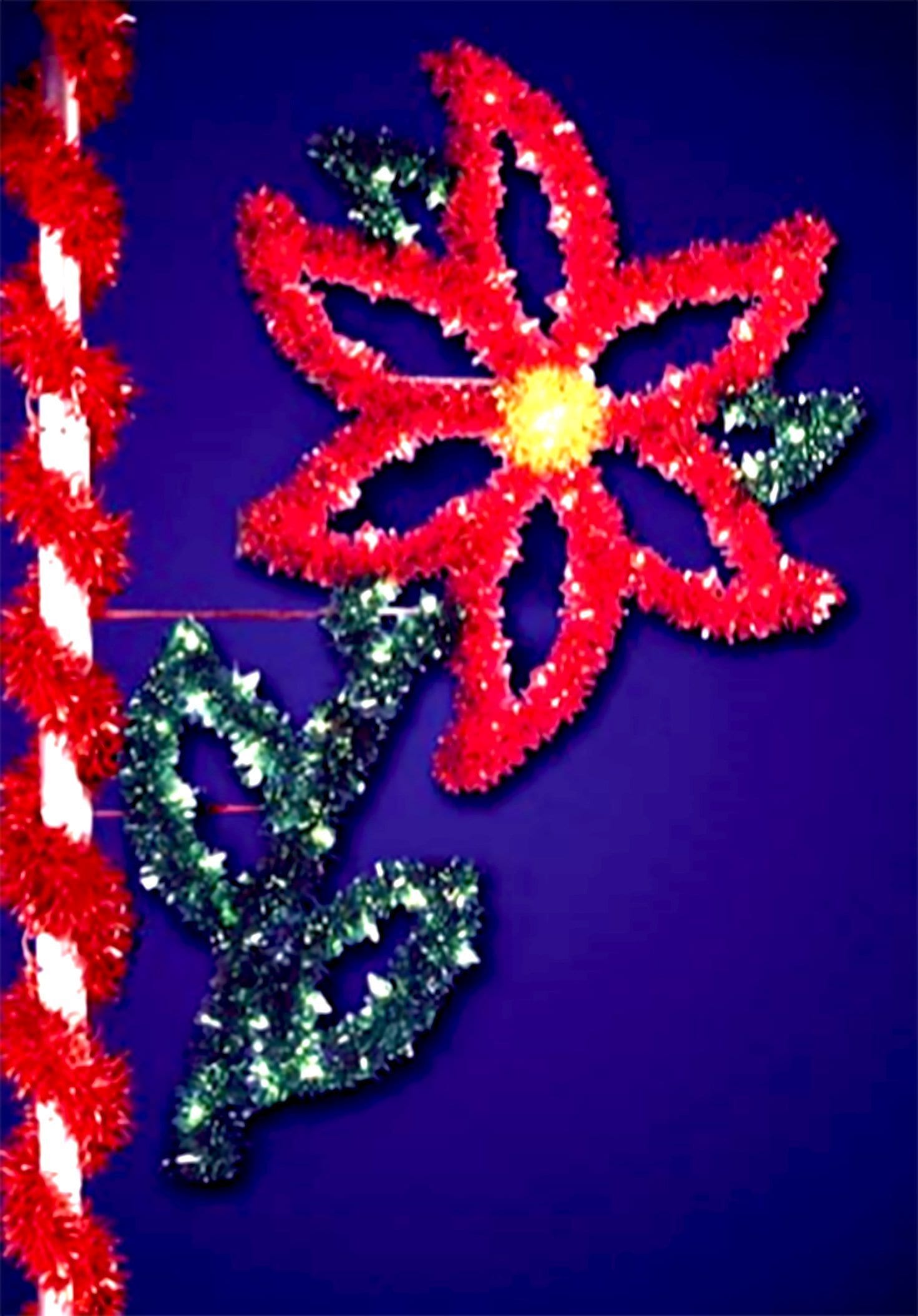 Poinsettia with Stem