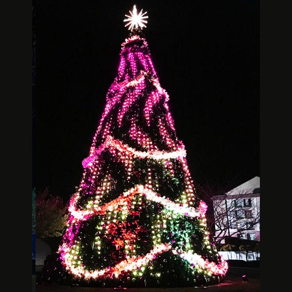 RGB Panel Trees - Image 9