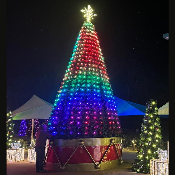 RGB Panel Trees - Image 6