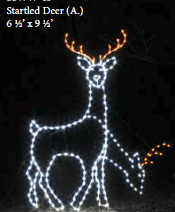 Startled Deer (animated)
