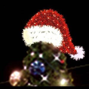 3D Santa Hat Topper