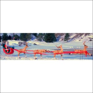 Seated Santa on Sleigh & Deer