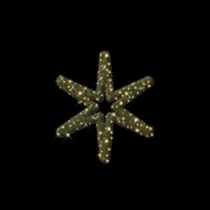 Traditional Star