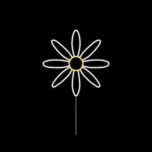 DAISY