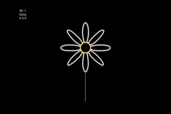 DAISY