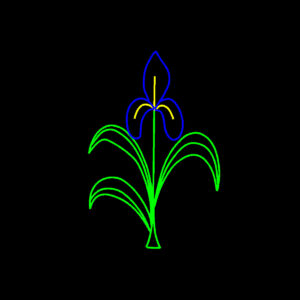 IRIS