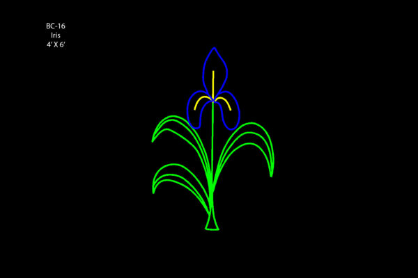 IRIS