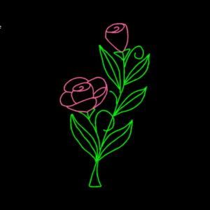PINK ROSE
