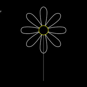 GIANT DAISY
