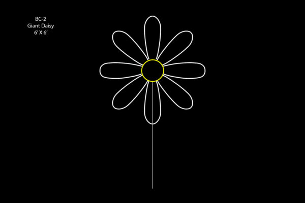GIANT DAISY