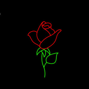 ROSE BUD
